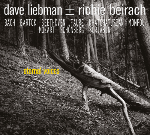 N 77067 Liebman Beirach front